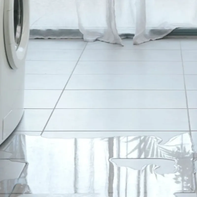 Appliance Leak Cleanup in Buffalo, OK