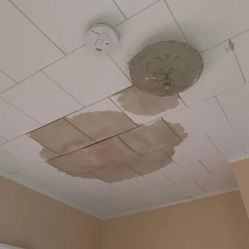 Ceiling Water Damage Repair in Buffalo, OK