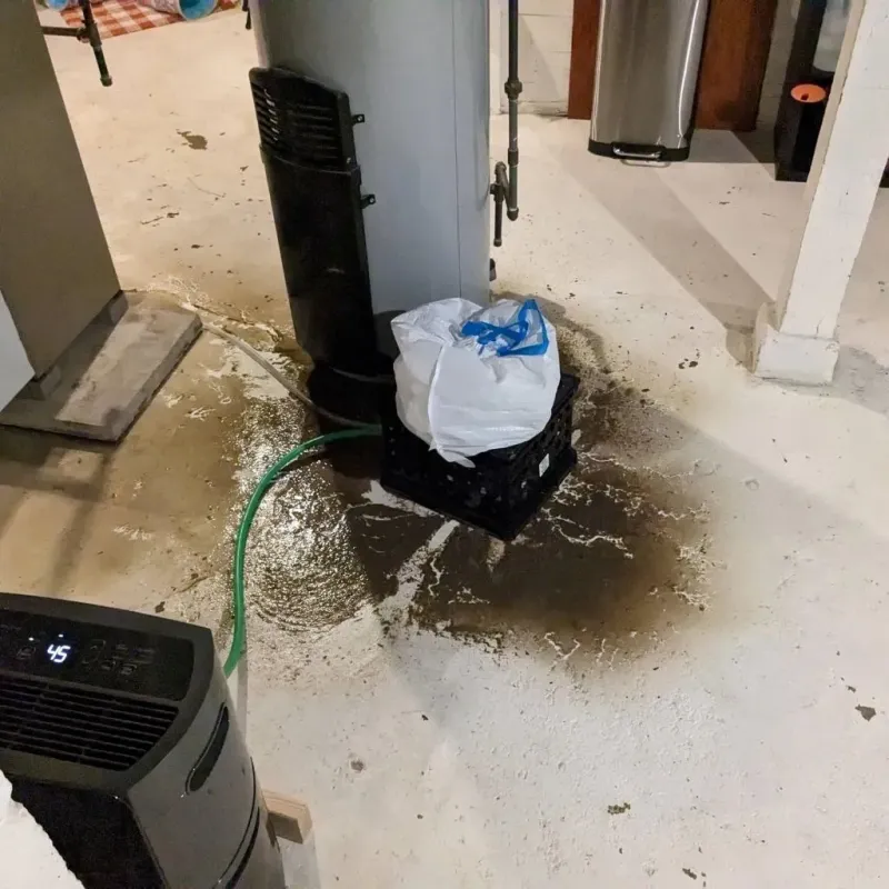 Sewage Backup Cleanup Service in Buffalo, OK